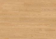 Chêne Artemis Chêne Artemis