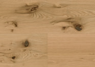 Chêne Caledonian Forest