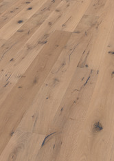 Oak No. 6 - Stirling