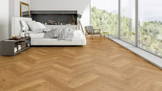 Chêne Zurenborg Chêne Zurenborg