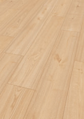 Châtaignier Rana Châtaignier Rana