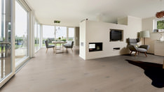 Roble Sherwood Forest