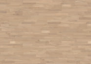 Dąb Champagne Dąb Champagne