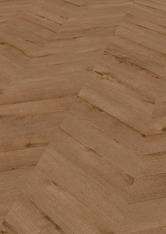 Dąb Washington Dąb Washington