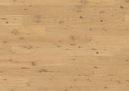 Oak No.32 - South Downs