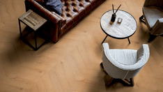 Dąb Hamburg Dąb Hamburg