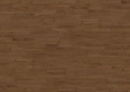 Dąb Burgund Dąb Burgund