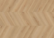 Dąb Rotterdam Dąb Rotterdam