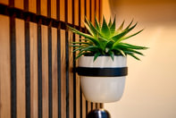 Soeren - Flower pot ring