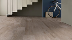 Eiche Bern Eiche Bern