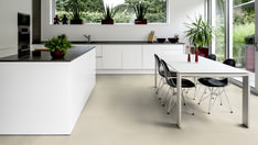 Stein Baku Stein Baku