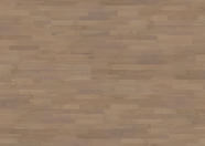 Dąb Bacchus Dąb Bacchus