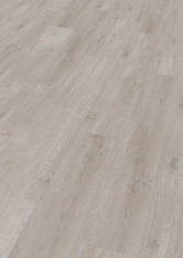 Chêne Odessa Chêne Odessa