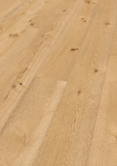 Chêne Perseus Chêne Perseus