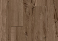 Dąb ciemnobrązowy Dąb ciemnobrązowy