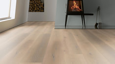 Dąb Antwerpen Dąb Antwerpen