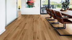 Dąb Cassis Dąb Cassis