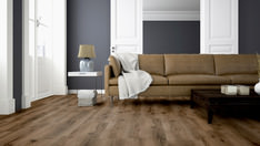 Chêne Cairo Chêne Cairo