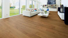 Dąb Barbaresco Dąb Barbaresco