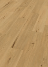 Dąb Marseille Dąb Marseille