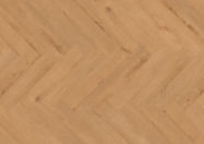 Dąb Hamburg Dąb Hamburg