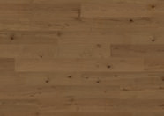 Chêne Riding Mountain