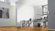 Pinie perlmuttweiß Pinie perlmuttweiß