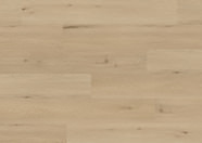 Dąb Amsterdam Dąb Amsterdam