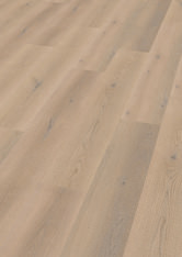 Dąb Antwerpen Dąb Antwerpen