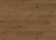 Roble Riding Mountain