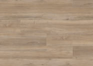 Chêne Candy Shop Chêne Candy Shop