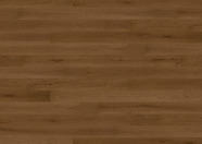 Dąb Barolo Dąb Barolo