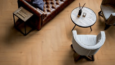 Dąb Hamburg Dąb Hamburg