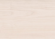 Ahorn samtweiß Ahorn samtweiß