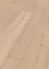 Oak No.36 - Harewood Oak No.36 - Harewood