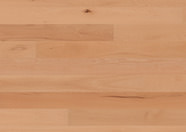 Buk Santa Cruz Buk Santa Cruz