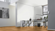 Pinie perlmuttweiß Pinie perlmuttweiß