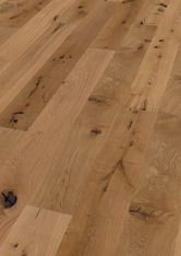 Oak No. 24 - Glasgow