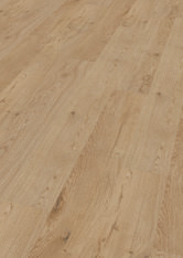 Dąb Dublin Dąb Dublin