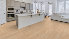 Châtaignier Rana Châtaignier Rana