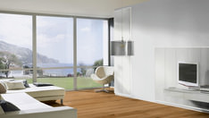 Pinie perlmuttweiß Pinie perlmuttweiß