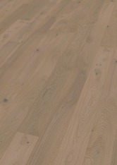 Dąb Chardonnay Dąb Chardonnay