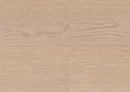 Dąb Berlin Dąb Berlin