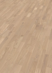 Dąb Champagne Dąb Champagne