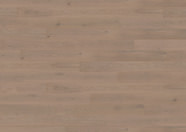 Dąb Chablis Dąb Chablis