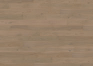 Dąb Chardonnay Dąb Chardonnay