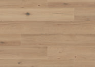 Chêne Palau Chêne Palau