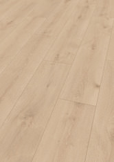 Chêne Capella Chêne Capella