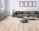 Frêne blanc violacé Frêne blanc violacé