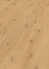 Oak No.32 - South Downs